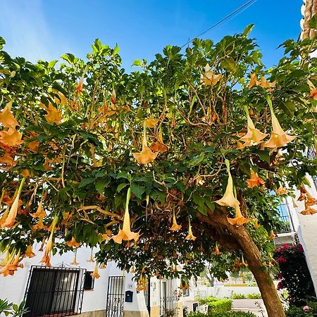 Right By The Pool Area In Capistrano Village! Nerja Eksteriør billede